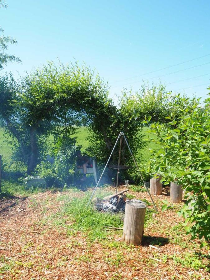 Bnb Entensee Uznach Екстериор снимка